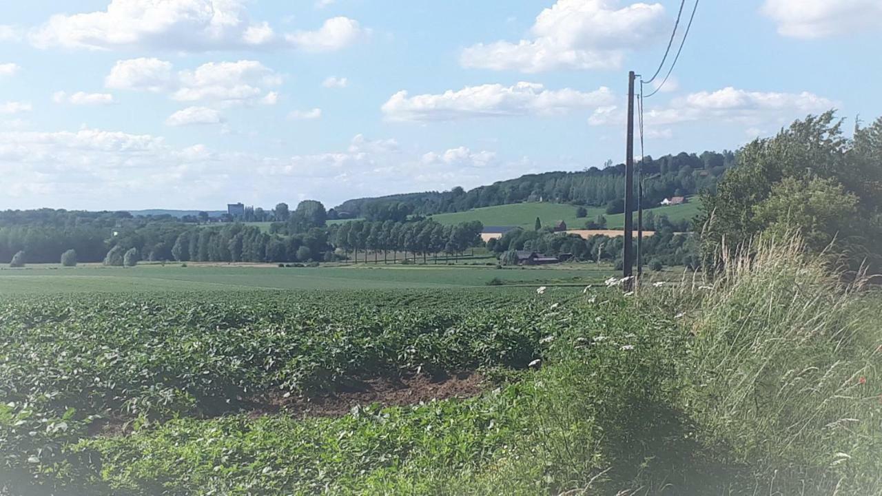 Alter Ego La Maison De Vacances, Au Pays Des Collines Villa Frasnes-lez-Anvaing Buitenkant foto